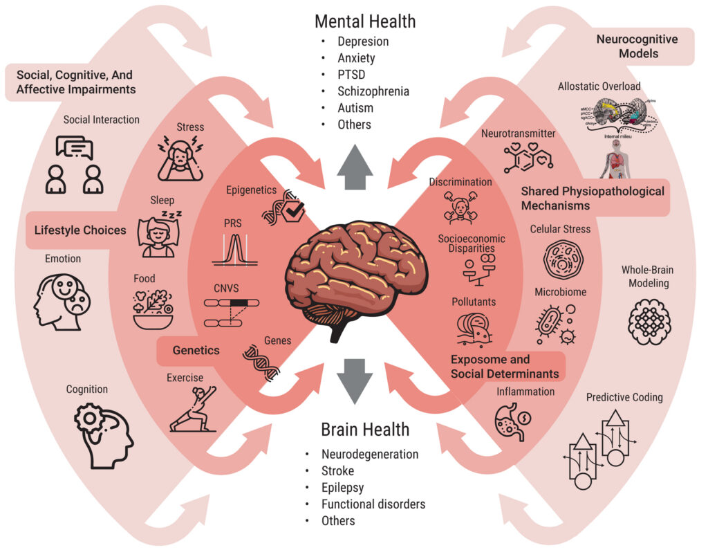 Diagramm, das die Zusammenhänge zwischen geistiger und Gehirngesundheit, Genetik, sozialen und Lebensstilfaktoren sowie gemeinsamen biologischen Mechanismen aufzeigt, mit Symbolen für verschiedene Einflüsse wie Schlaf, Stress, soziale Interaktion und Entzündungen.